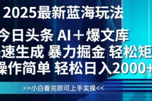 （14805期）今日头条2025最新蓝海玩法，思路简单，复制粘贴，轻松实现矩阵日入2000+