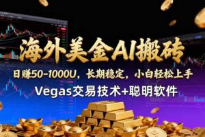 （18276期）海外美金AI搬砖技术Vegas交易技术+聪明软件【训练营第七期】，日赚50-100U