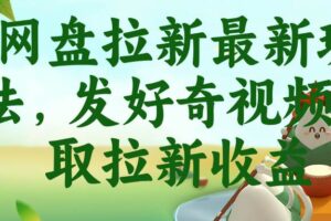 (18917期)网盘拉新最新玩法,发好奇视频获取拉新收益