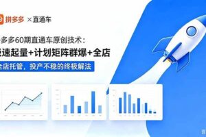 (18921期)拼多多60期直通车原创技术:极速起量+计划矩阵群爆+全店托管,投产不稳的终极解法